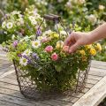 Kosz druciany owalny z uchwytem 27x16,5cm W13,5cm brązowy | Floristik24.pl