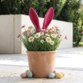 Ozdobne uszy króliczka różowe na wielkanocny flokowany patyczek wys. 56cm | Floristik24.pl