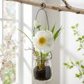 Kwiat maku w szkle do zawieszenia Biały H22cm | Floristik24.pl