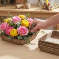 Oasis Biolit Basic Florystyczna Gąbka 13x13x2 cm 12-częściowy Zestaw Dekoracji Kwiatowych DIY | Floristik24.pl