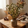 Suszony oset truskawkowy, dekoracja oliwkowo-zielona, Ø1–2cm, dł. 55cm, 100g | Floristik24.pl