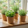 Doniczka, doniczka, doniczka papierowa naturalna Ø15cm W13cm 4szt | Floristik24.pl