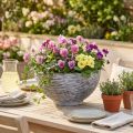 Miska okrągła miska do sadzenia szara czarna Ø45cm W22,5cm | Floristik24.pl