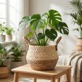 Koszyk z uchwytami, doniczka, trawa morska, juta, Ø23cm, wys. 20cm, styl boho chic, wystrój miejskiej dżungli | Floristik24.pl