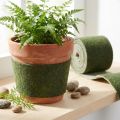 Wstążka filcowa Franzi Wstążka do doniczek wełniana Filc wełniany ciemnozielony 15cm 4m | Floristik24.pl