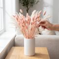 Trawa Phalaris różowa błyszcząca suszona dekoracja sucha 65cm 60g | Floristik24.pl