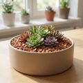 Kamienie naturalne 16mm - 22mm Terra 2kg | Floristik24.pl