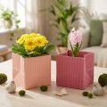 Sadzarka do kwiatów Torebka na kwiaty różowy łosoś 12cmx12cm 6 szt | Floristik24.pl