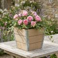 Drewniana donica Shabby Chic Beige 19x19x15,5cm | Floristik24.pl