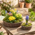 Obręcz do sadzenia, miska do sadzenia, drewno, naturalny szary, Ø30/35 cm, zestaw 2 szt. | Floristik24.pl