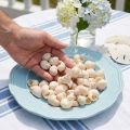 Małża Umachi 500g | Floristik24.pl