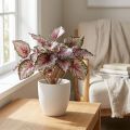 Sztuczny krzew begonii zielony, purpurowy 34cm | Floristik24.pl
