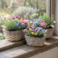Naturalny kosz do sadzenia, kosz z uchwytami, donica shabby chic myty biały dł.31/27,5/24cm wys.11,5/10cm zestaw 3 szt. | Floristik24.pl