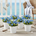 Wiadra blaszane białe Ø14cm H12cm 6 szt. | Floristik24.pl