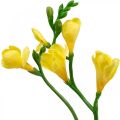 Floristik24 Frezje, kwiaty sztuczne, frezje w pęczku żółte dł.64cm 6szt
