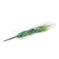 Floristik24 Trawa liściasta zielona, biała 63cm