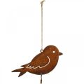 Floristik24 Ozdobny ptaszek, wieszak na jedzenie, metalowa dekoracja stal nierdzewna 19 × 13,5 cm