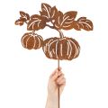 Palik ogrodowy z motywem dyni, dekoracja metalowa, wykończenie rdzawe, 100 cm | Floristik24.pl