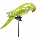 Floristik24 Korek ogrodowy papuga żółty 16cm