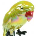 Floristik24 Korek ogrodowy papuga żółty 16cm