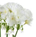 Floristik24 Krzew geranium biały 38cm