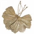 Floristik24 Wisiorek z liści miłorzębu Ginkgo Vintage Deco Metal 15×11cm 4szt