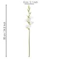 Sztuczny mieczyk, długa łodyga, do wazonów, 88 cm | Floristik24.pl