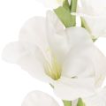 Sztuczny mieczyk, długa łodyga, do wazonów, 88 cm | Floristik24.pl