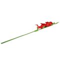 Floristik24 Gladiolus czerwony sztuczny 86 cm