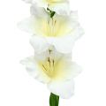 Floristik24 Gladiolus biały 86cm sztuczny