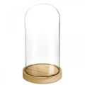 Floristik24 Szklany dzwonek z talerzykiem, szklana kopuła, szklana dekoracja kaptura W21cm
