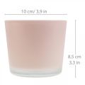 Floristik24 Doniczka szklana różowa szklana wanna Ø10cm W8,5cm