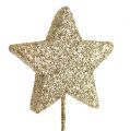 Floristik24 Gwiazdy brokatowe na druciku 5cm złote L23cm 48szt