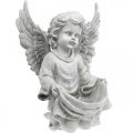 Floristik24 Grave Angel Angel Figure Bird Bath Dekoracja grobu H26cm