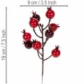 Sztuczna gałązka granatu z rozgałęzionymi łodygami jako dekoracja wazonu, 19 cm, 4 sztuki | Floristik24.pl