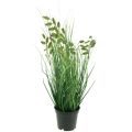Floristik24 Quaking Grass Sztuczna trawa Sztuczna roślina doniczkowa 36cm
