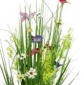 Floristik24 Kiść trawy z kwiatami 73cm