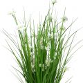 Floristik24 Pęczek trawy z kwiatami Biały 70cm