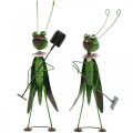 Grasshopper Garden Figurka Metalowa dekoracja Cricket z grabiami i łopatą H33cm Zestaw 2