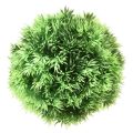 Floristik24 Kula trawiasta kula dekoracyjna sztuczne rośliny zielona Ø15cm 1szt