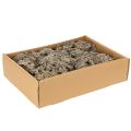 Mech ozdobny, mech szary do prac rękodzielniczych, 500g | Floristik24.pl