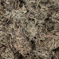 Mech ozdobny, mech szary do prac rękodzielniczych, 500g | Floristik24.pl