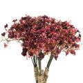 Floristik24 Gypsophila sztuczne czerwone kwiaty sztuczne jesień 29,5cm 18szt