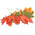 Floristik24 Jesienna zawieszka dekoracyjna drewno liście liść klonu 22cm 4szt