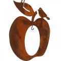 Floristik24 Deco wieszak metalowy jabłko gruszka dekoracja patyna 23/24cm 2szt