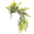 Floristik24 Sztuczna gałązka paproci, delikatna, do wazonu, 80cm