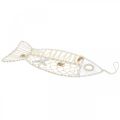 Floristik24 Deco Fish with Shell Deco, Maritime Deco, Fish to Hang White 38cm