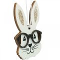 Floristik24 Drewniana zawieszka królik z okularami brokat marchewka 4×7,5cm 9szt