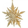 Floristik24 Śnieżynka, ozdoba choinkowa, dekoracja okienna Christmas Golden 12cm 4szt