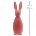 Floristik24 Deco Bunny Deco Easter Bunny Flokowany Pomarańczowy Morelowy W69cm
